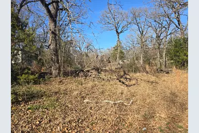 Lot 699 Shady Grove Road, Gun Barrel City, TX 75156 - Photo 2