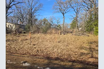 Lot 699 Shady Grove Road, Gun Barrel City, TX 75156 - Photo 4