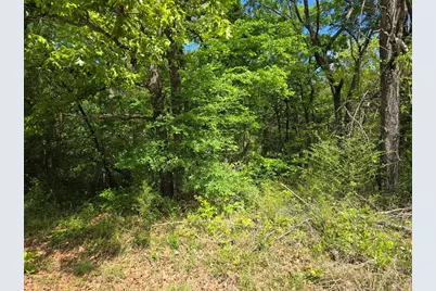 Lot 699 Shady Grove Road, Gun Barrel City, TX 75156 - Photo 1
