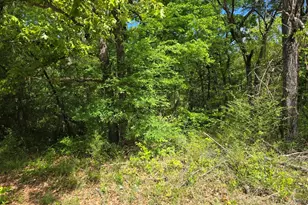 Lot 699 Shady Grove Rd, Gun Barrel City, TX 75156 - Photo 1