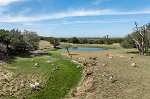 5680 Co Rd 142, Gatesville, TX 76528 - Photo 24