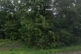 0 Fm 161, Hughes Springs, TX 75656 - Photo 2