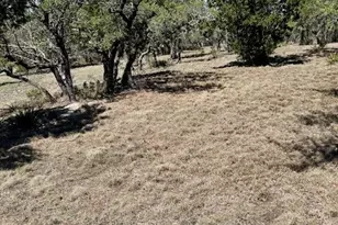 335 Gant Rd, Dripping Springs, TX 78620 - Photo 28
