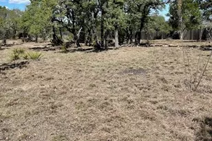 335 Gant Rd, Dripping Springs, TX 78620 - Photo 26