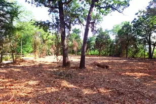 Tbd Valentine, Denison, TX 75020 - Photo 1