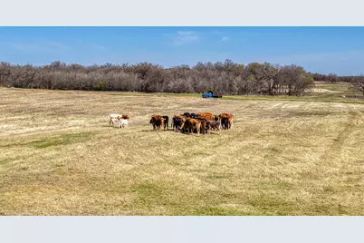 4305 County Road 179, Stephenville, TX 76401 - Photo 30