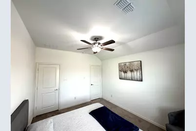 2603 Lemon Mint Lane, Melissa, TX 75454 - Photo 20