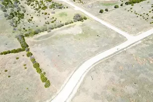 1031 Audrey Vly Ln, Glen Rose, TX 76043 - Photo 4