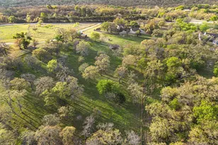 969 Three Skillet Rd, Springtown, TX 76082 - Photo 30