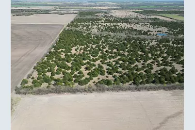 Tbd 3 Cr 3805, Bailey, TX 75413 - Photo 8
