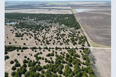 Tbd 3 Cr 3805, Bailey, TX 75413 - Photo 4