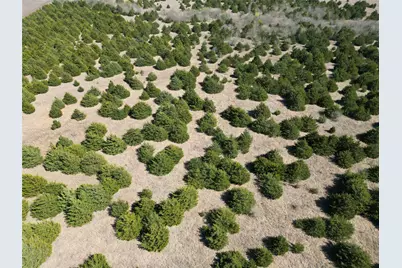 Tbd 3 Cr 3805, Bailey, TX 75413 - Photo 10