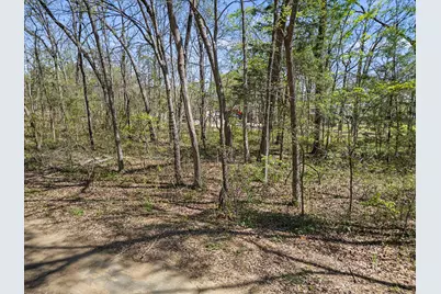 0 County Road 1687, Alba, TX 75410 - Photo 6