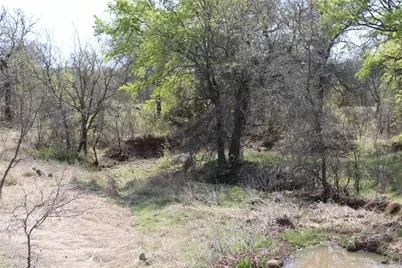 21 Ac Erwin, Perrin, TX 78486 - Photo 10