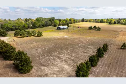 9190 County Road 3613, Murchison, TX 75778 - Photo 34