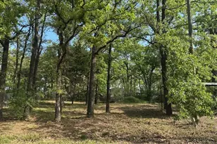 116 Red Bird Ln, Mabank, TX 75156 - Photo 1