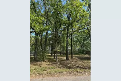 116 Red Bird Lane, Mabank, TX 75156 - Photo 2