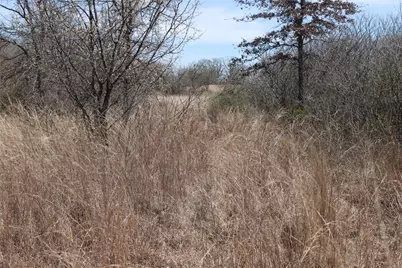 13 Ac N Mason, Perrin, TX 78486 - Photo 4