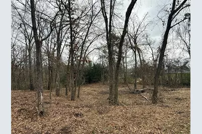 Tbd (Lot 8) Florence Street, Grand Saline, TX 75140 - Photo 2