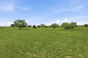 2009 Eagles Rdg Dr, Weatherford, TX 76087 - Photo 32