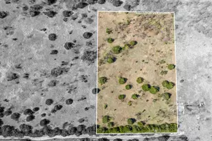 843 Lake Ridge Rd, Avalon, TX 76623 - Photo 1