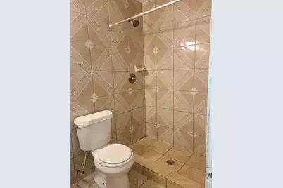 12412 Tulip Drive, Balch Springs, TX 75180 - Photo 8