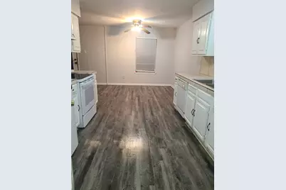 12412 Tulip Drive, Balch Springs, TX 75180 - Photo 4