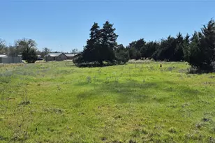 294 Co Rd 4683, Boyd, TX 76023 - Photo 4