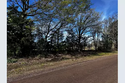 3903 / 3901 Vz County Road 3504, Wills Point, TX 75169 - Photo 8