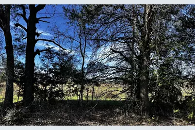 3903 / 3901 Vz County Road 3504, Wills Point, TX 75169 - Photo 6