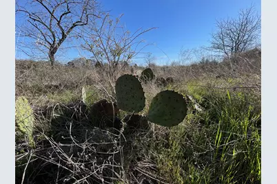 343 Palmilla Drive, Gordonville, TX 76245 - Photo 6