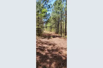 0 Jewell Gooch Road, Marshall, TX 75670 - Photo 2