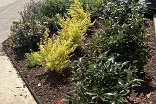 18408 Hemington Ct, Dallas, TX 75252 - Photo 26