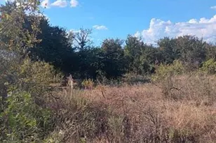 0 Shady Oaks Dr, Bridgeport, TX 76426 - Photo 1