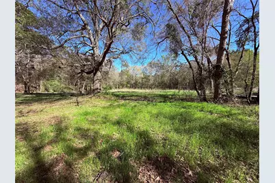 3842 N State Highway 37, Quitman, TX 75783 - Photo 2