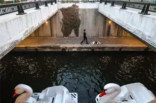 6707 Verandah Wy, Irving, TX 75039 - Photo 30