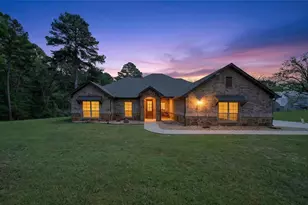 10227 County Rd 4101, Frankston, TX 75763 - Photo 2