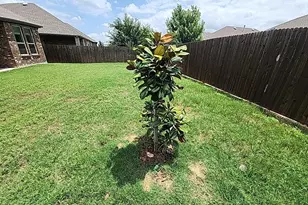 11132 Canyon Oak St, Aubrey, TX 76227 - Photo 6