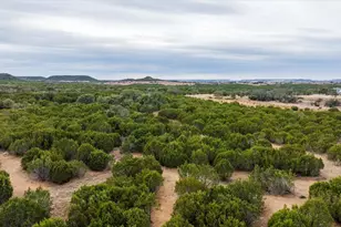 Tbd Cr 1012, Glen Rose, TX 76043 - Photo 28