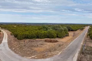 Tbd Cr 1012, Glen Rose, TX 76043 - Photo 12