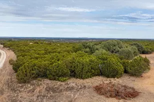 Tbd Cr 1012, Glen Rose, TX 76043 - Photo 16
