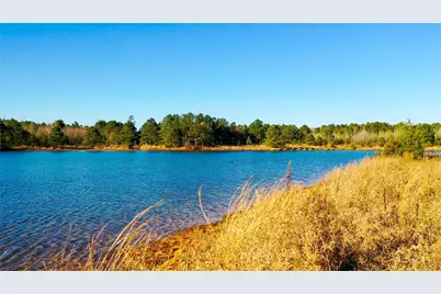Tbd Hwy 49, Jefferson, TX 75657 - Photo 2