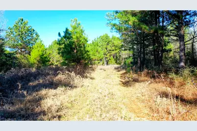 Tbd Hwy 49, Jefferson, TX 75657 - Photo 6