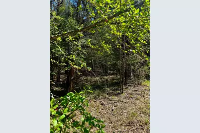 0800 Cr-2765, Honey Grove, TX 75446 - Photo 4