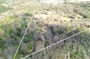 Tbd Cr 3324, Pittsburg, TX 75686 - Photo 1