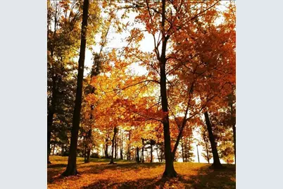 Tbd Broad Meadow, Murchison, TX 75778 - Photo 28