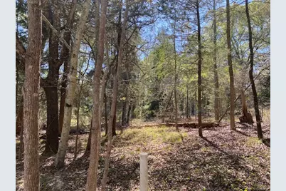 Tbd Broad Meadow, Murchison, TX 75778 - Photo 1