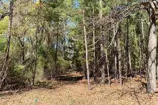 Tbd Armadillo Dr, Murchison, TX 75778 - Photo 1