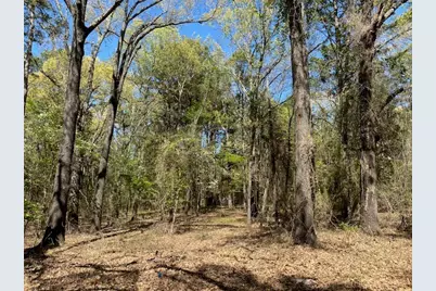 Lots 33 & 34 Armadillo Drive, Murchison, TX 75778 - Photo 1