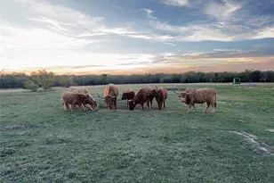 4081 Fm 2736, Campbell, TX 75422 - Photo 34